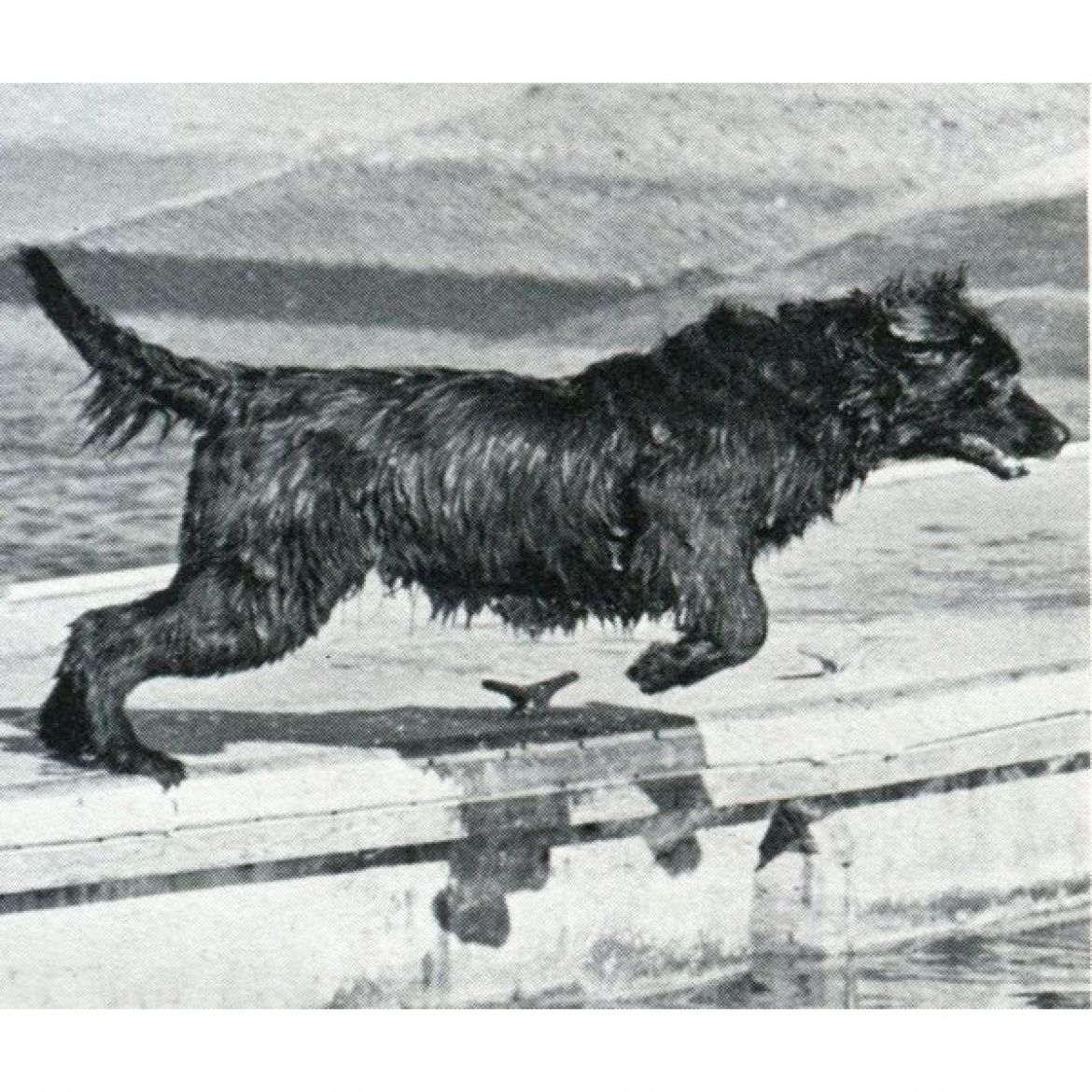 T Alii Shores Puanani O´Aukai (25-10-1975)